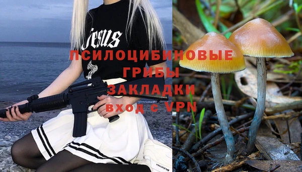 твердый Балабаново